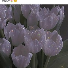 Aao Deen ke Taraf