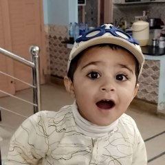 M. Ali Shaikh