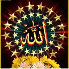 My world 381 world 381