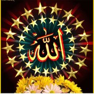 My world 381 world 381