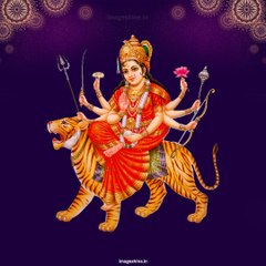 UMESH PRASAD