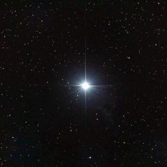 Wonder star