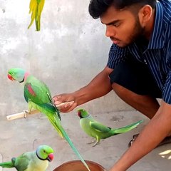 Waseem Sona
