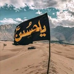 Ali Don
