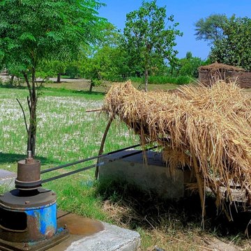 Desi Travel