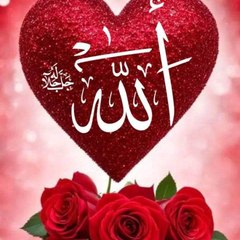 Malik Ahmad