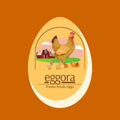 eggorastore