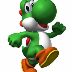 Yoshi Guy