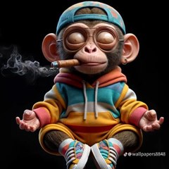 Videos Hub