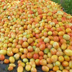 hayamkhan094
