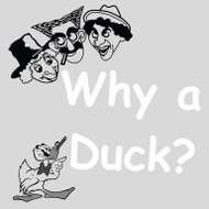 Why a Duck