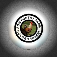 AGM poutry farm BWP