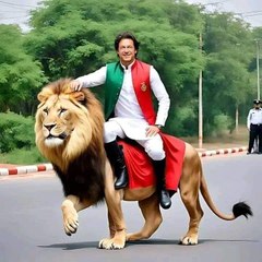 Taimoor T.V