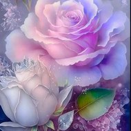 sohaib music official