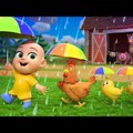 CocoTV