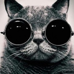 PELÍCULAS COMPLETAS en ESPAÑOL - TuCineHD