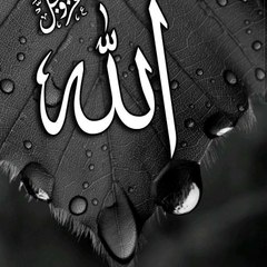 Muslim Life ✨