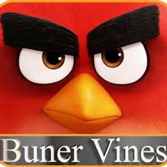Bunir vines