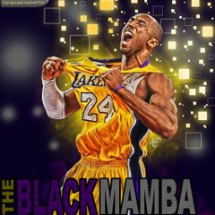 basketball highlights