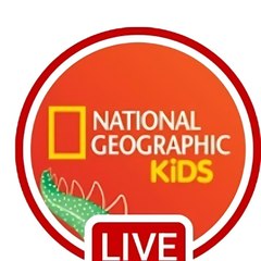 National Geographic Animals