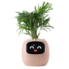 Livy Smart Planter