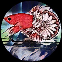 LikeAndShare
