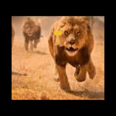 khawar