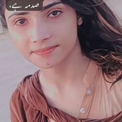 Funny Videos