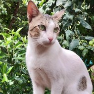 Innovative Minds ™