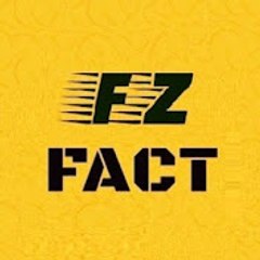 FzFact