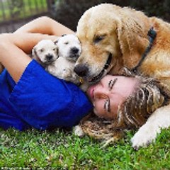 Animal Fun time