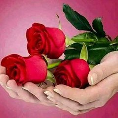 Noor khan