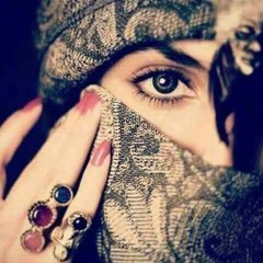 Daily_Updated with Pari