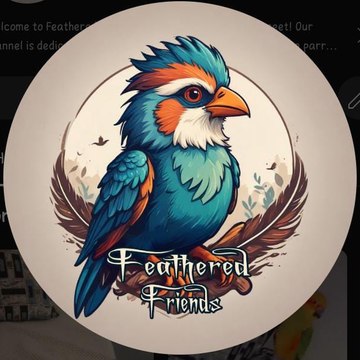Feathered Friends