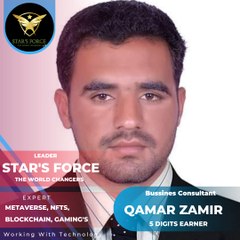 Qamar  zamir