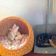 Telenovele cult on demand