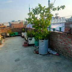 Village boy explore the world