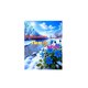 Entertainments, News and Sports
