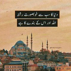 My life my logics