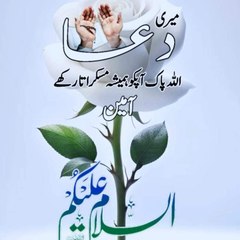 Rabia naaz official