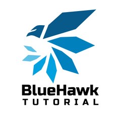 Bluehawk Tutorial