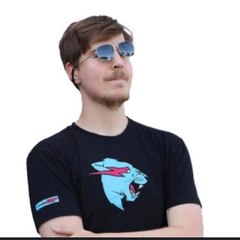 Mr. Beast Videos