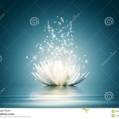 nisha2424c