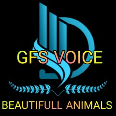 GFS VOICE
