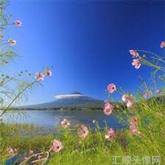 李莉莉
