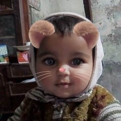 Funny life with cuties