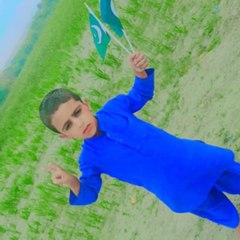 Waqar Ahmed