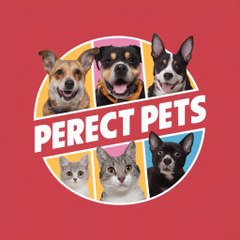 Perfect Pets