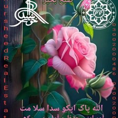 Majid Ali
