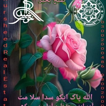 Majid Ali